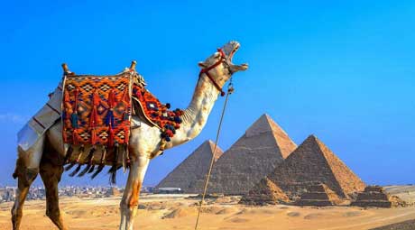 Egypt - Pharaoh's Eternal Legacy