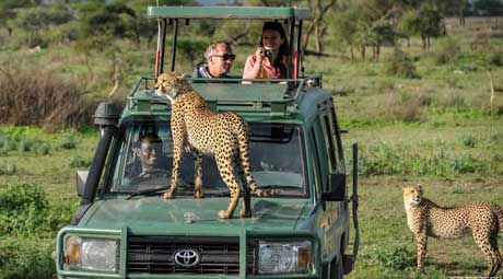 Tanzania - Kilimanjaro & Serengeti