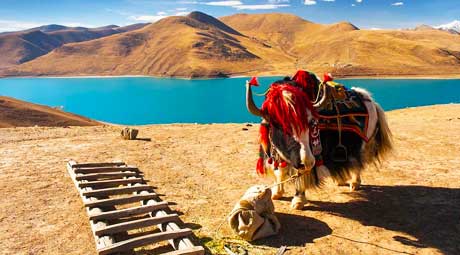 Tibet - Roof of the World